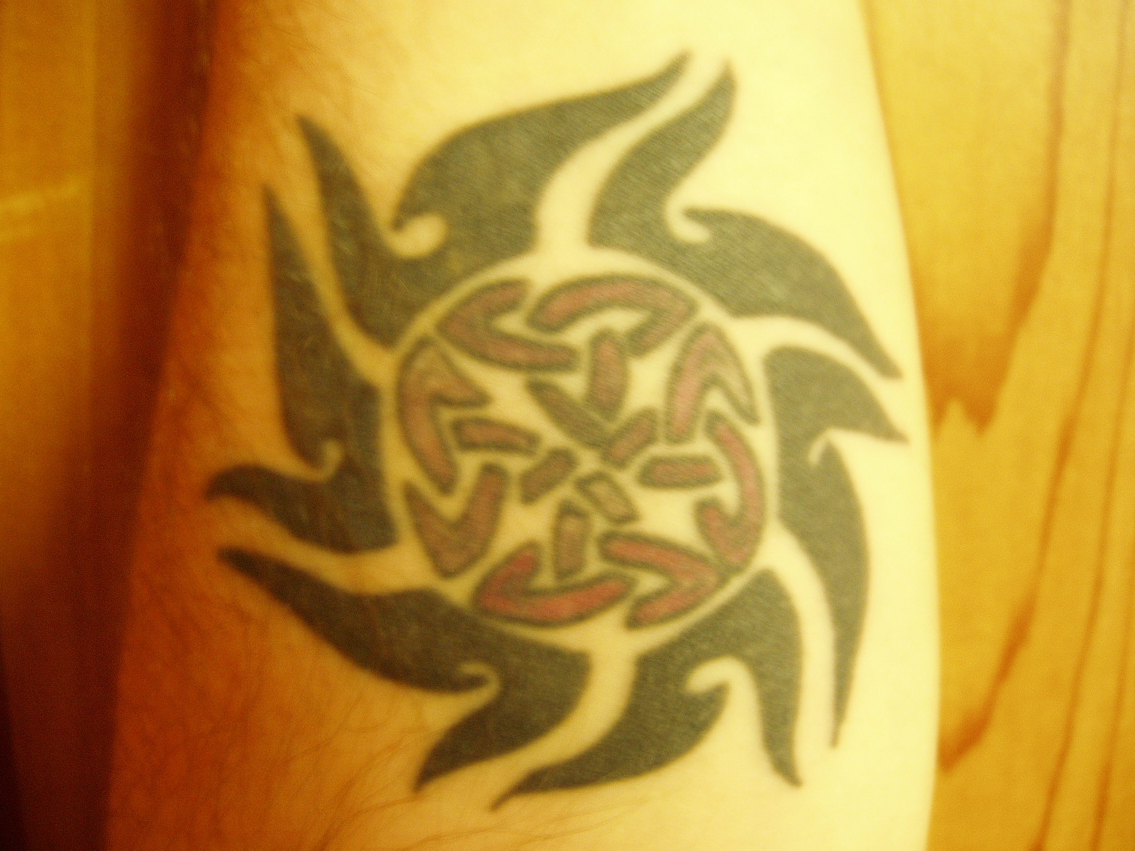 Celtic Sun tattoo
